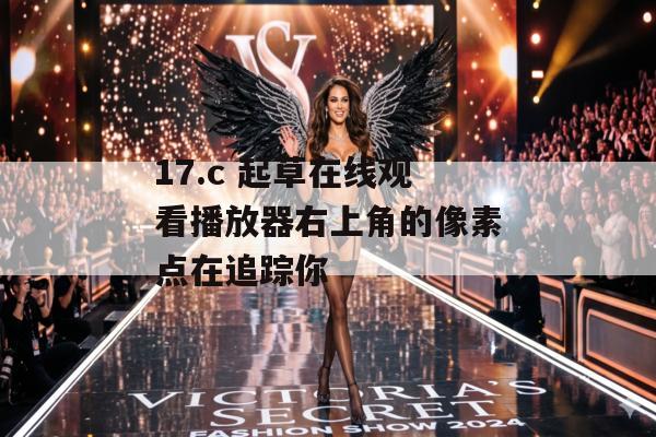 17.c 起草在线观看播放器右上角的像素点在追踪你